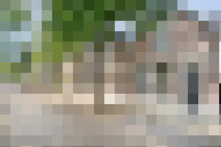 Assendorperdijk 26 Zwolle thumbnail 27