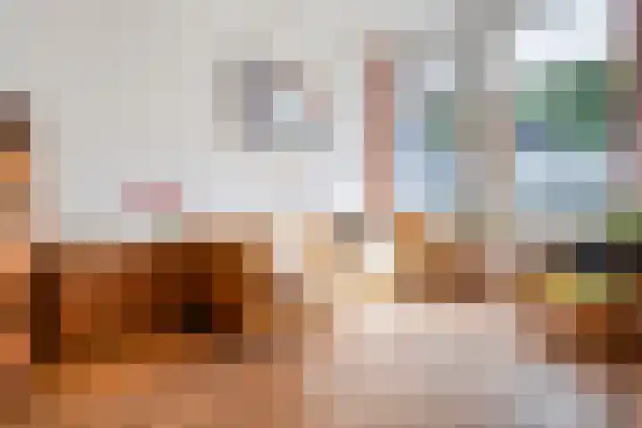 Assendorperdijk 26 Zwolle thumbnail 5