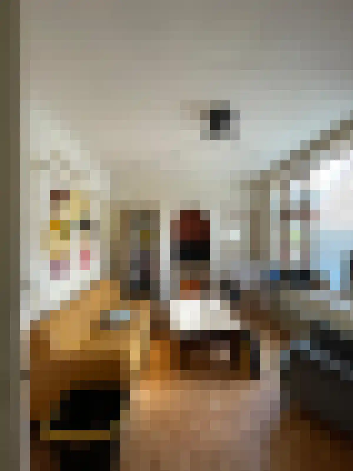 Assendorperdijk Zwolle thumbnail 5