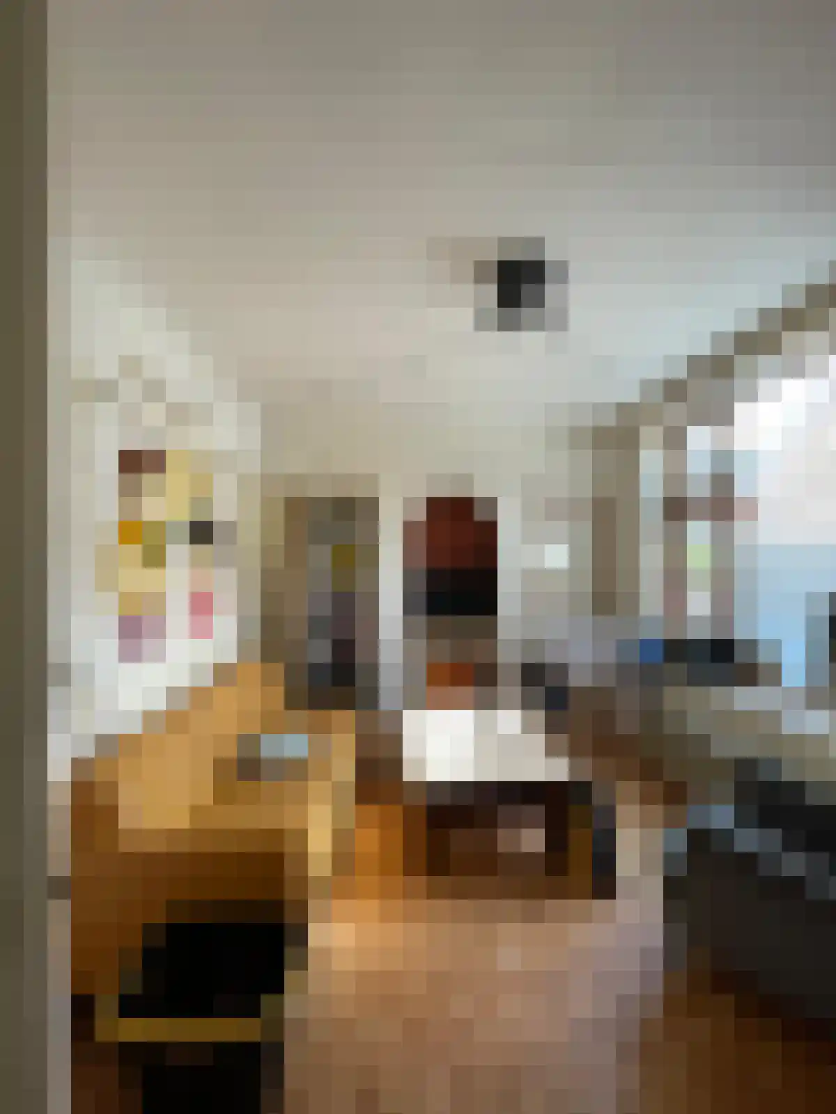Assendorperdijk Zwolle thumbnail 5