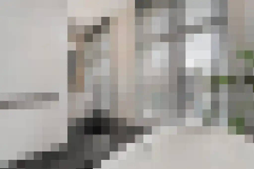 Assendorperstraat 1 Zwolle thumbnail 31
