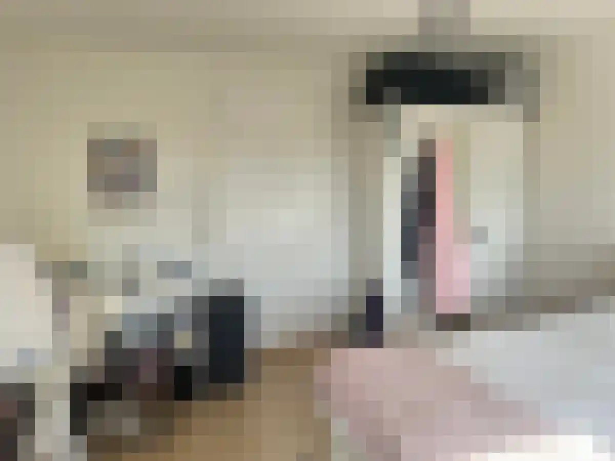 Assendorperstraat 119 Zwolle thumbnail 6