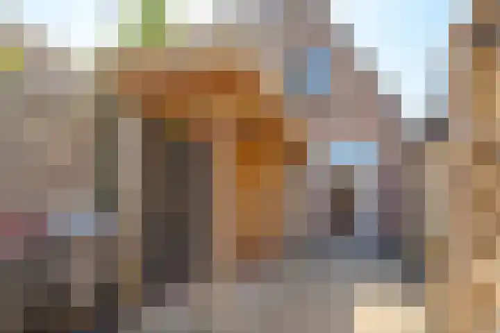 Assendorperstraat 125 Zwolle thumbnail 25