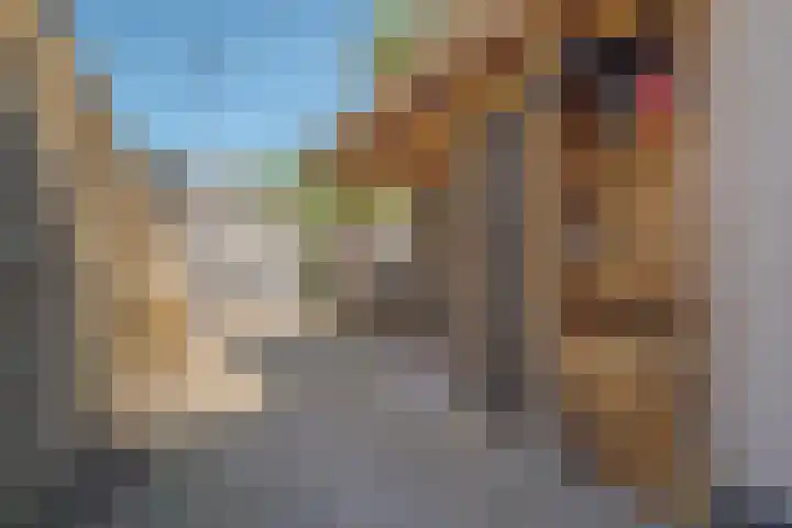 Assendorperstraat 125 Zwolle thumbnail 4