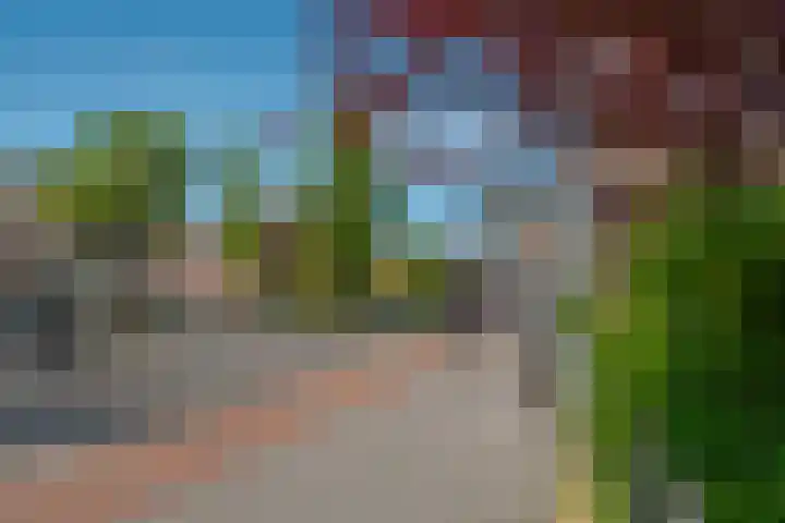 Assendorperstraat 125 Zwolle thumbnail 6