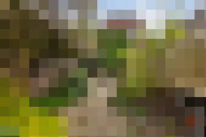 Assendorperstraat 127 Zwolle thumbnail 12