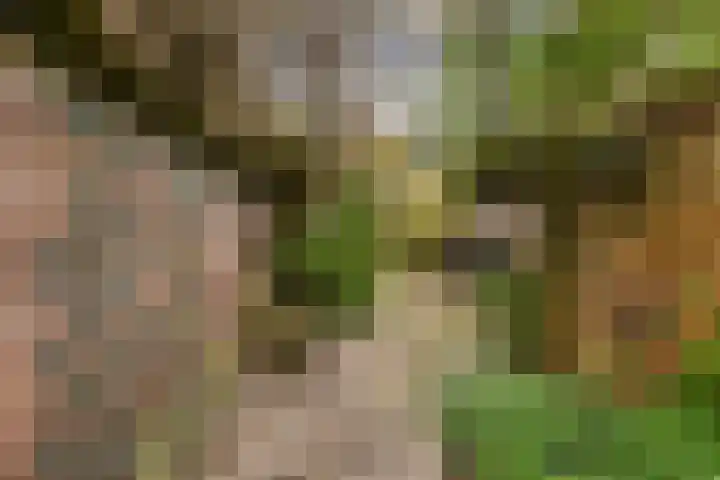 Assendorperstraat 127 Zwolle thumbnail 14
