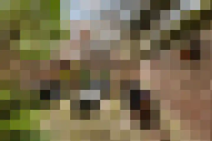 Assendorperstraat 127 Zwolle thumbnail 15
