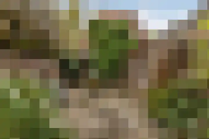 Assendorperstraat 127 Zwolle thumbnail 16
