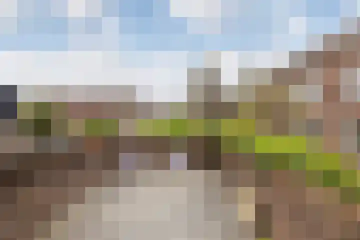 Assendorperstraat 127 Zwolle thumbnail 22