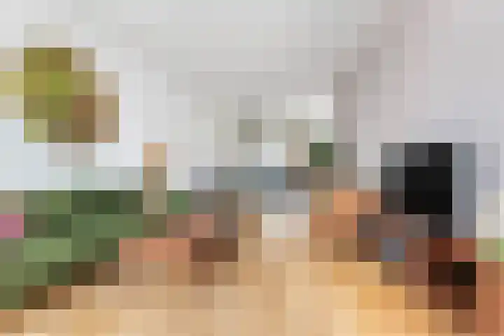 Assendorperstraat 127 Zwolle thumbnail 4