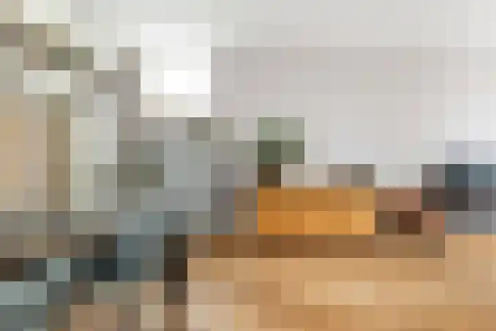 Assendorperstraat 127 Zwolle thumbnail 6