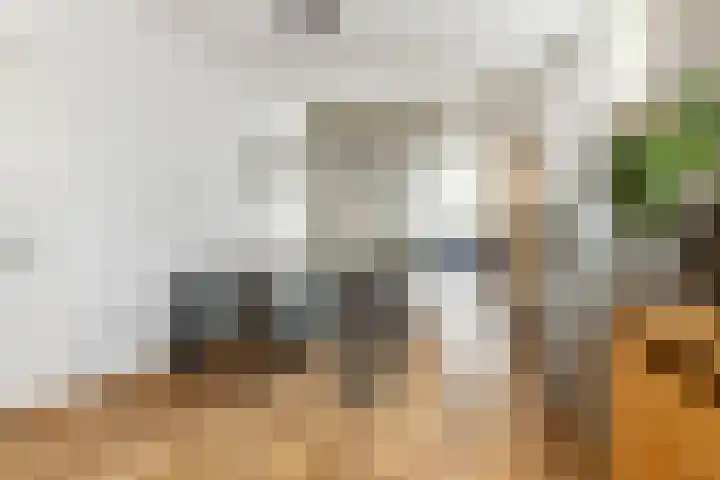 Assendorperstraat 127 Zwolle thumbnail 7