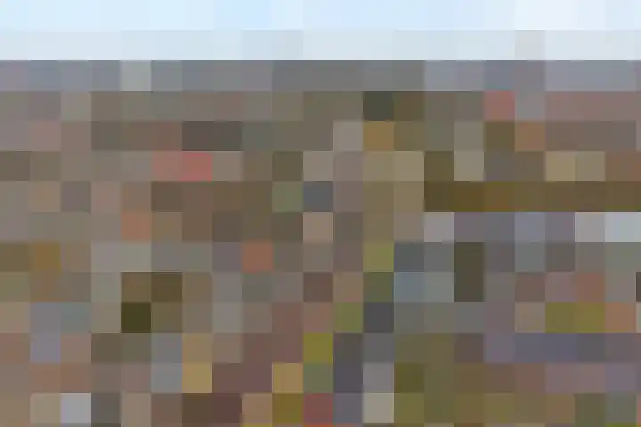 Assendorperstraat 14 Zwolle thumbnail 31