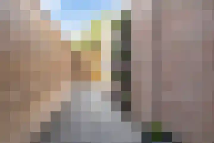 Assendorperstraat 192 Zwolle thumbnail 12