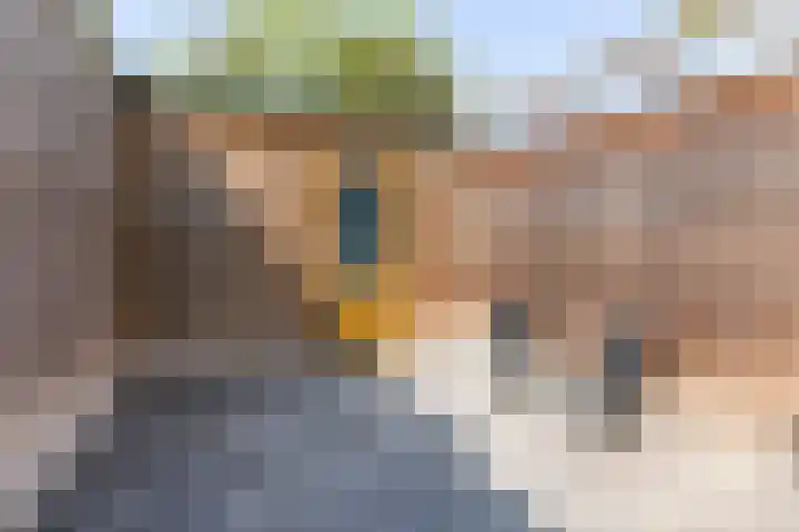 Assendorperstraat 192 Zwolle thumbnail 13