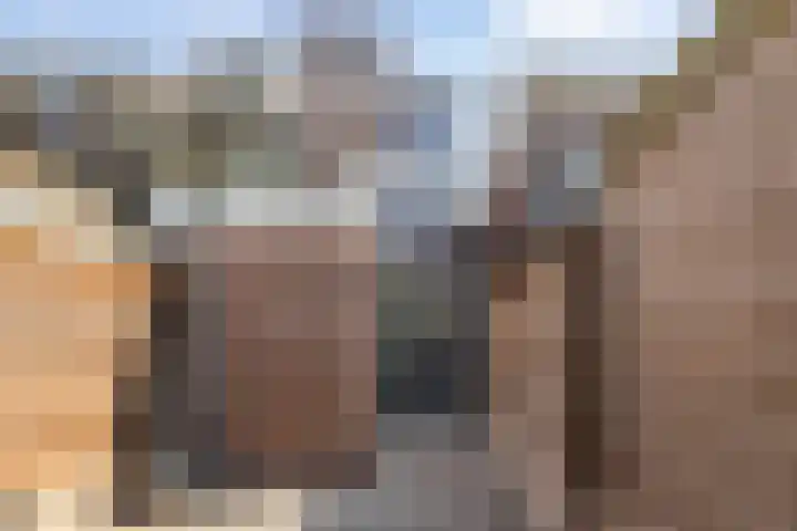 Assendorperstraat 192 Zwolle thumbnail 15