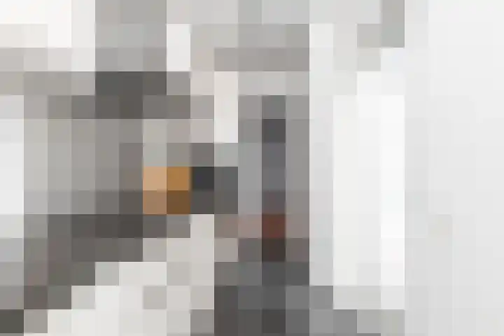 Assendorperstraat 192 Zwolle thumbnail 8