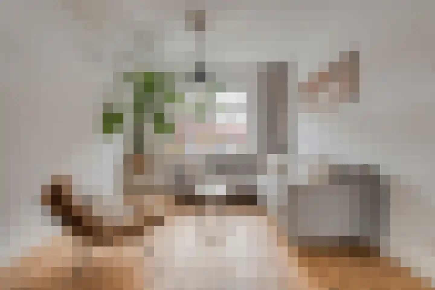 Assendorperstraat 214 Zwolle thumbnail 12