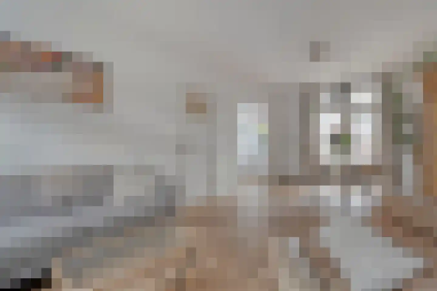 Assendorperstraat 214 Zwolle thumbnail 13
