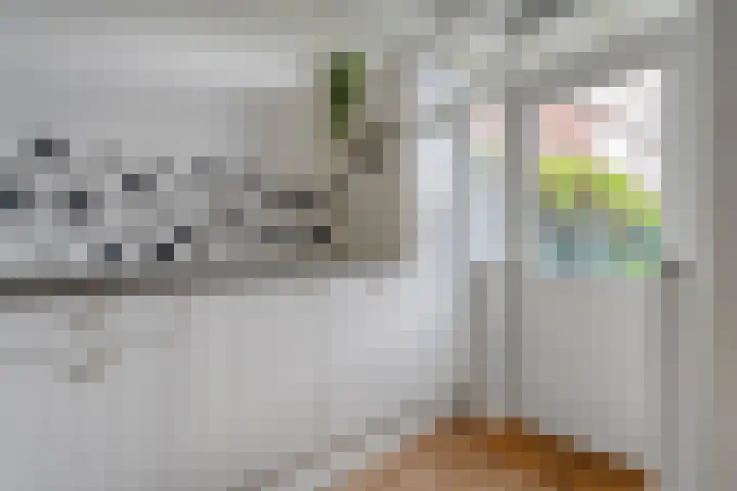 Assendorperstraat 214 Zwolle thumbnail 20