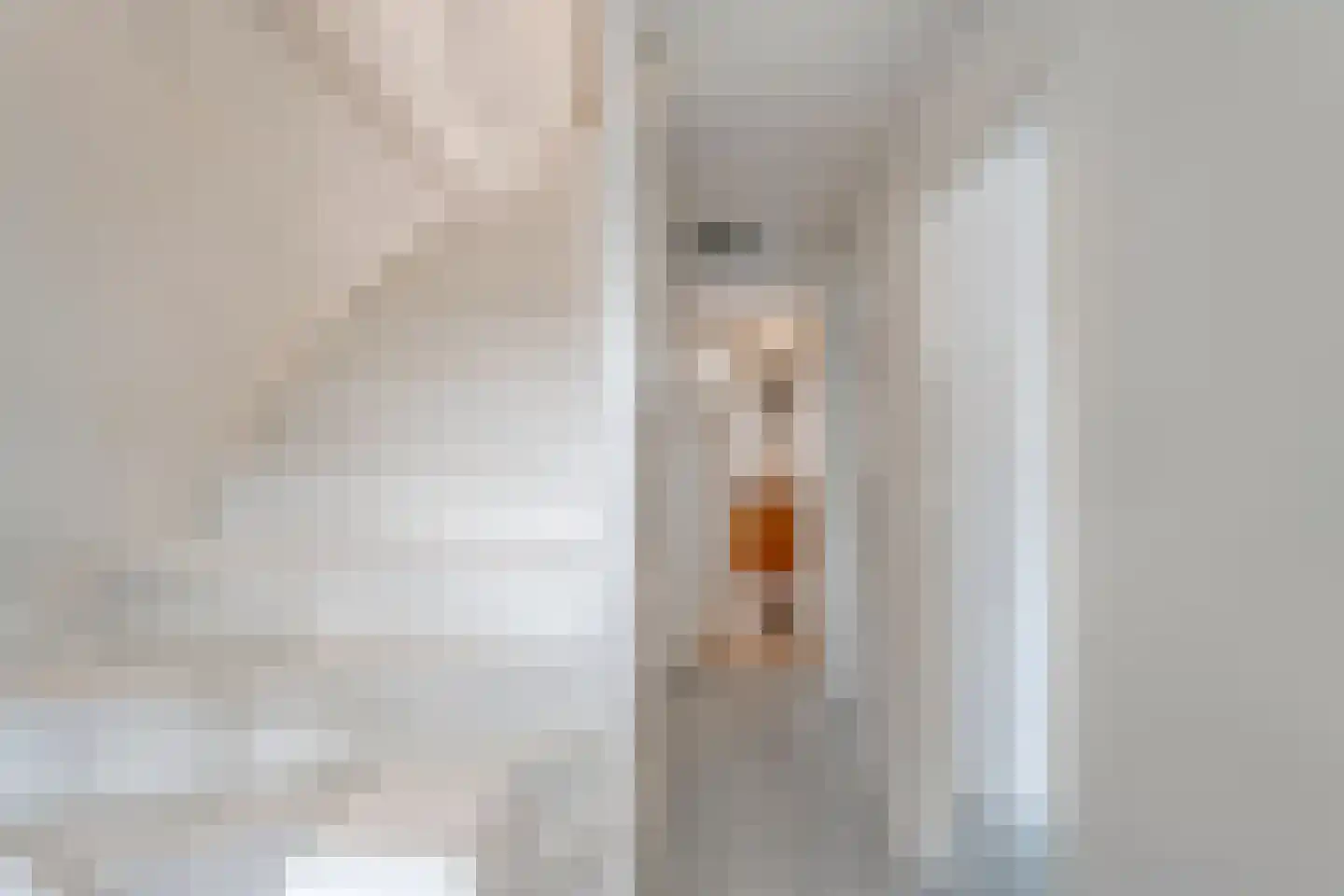 Assendorperstraat 214 Zwolle thumbnail 23