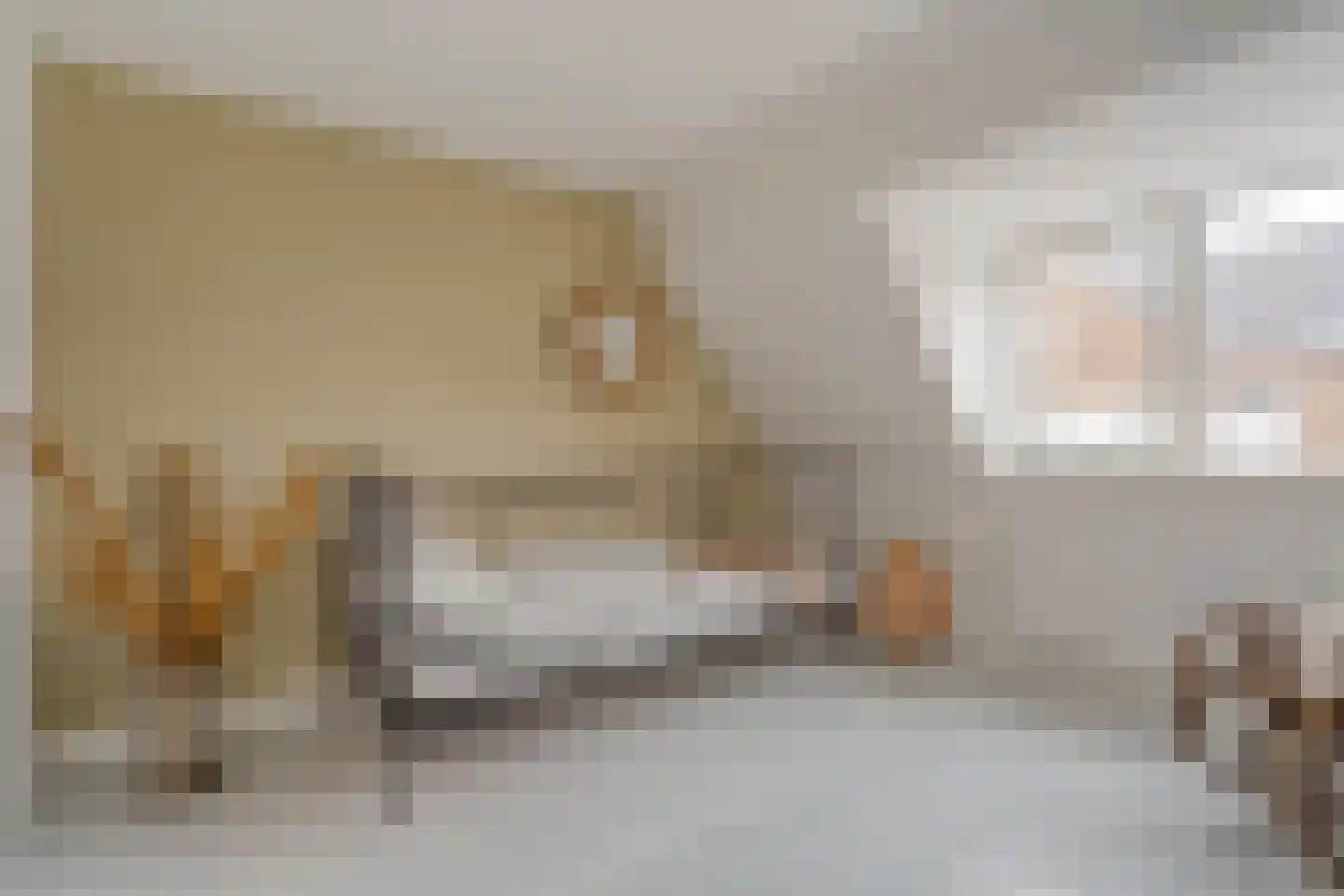 Assendorperstraat 214 Zwolle thumbnail 27