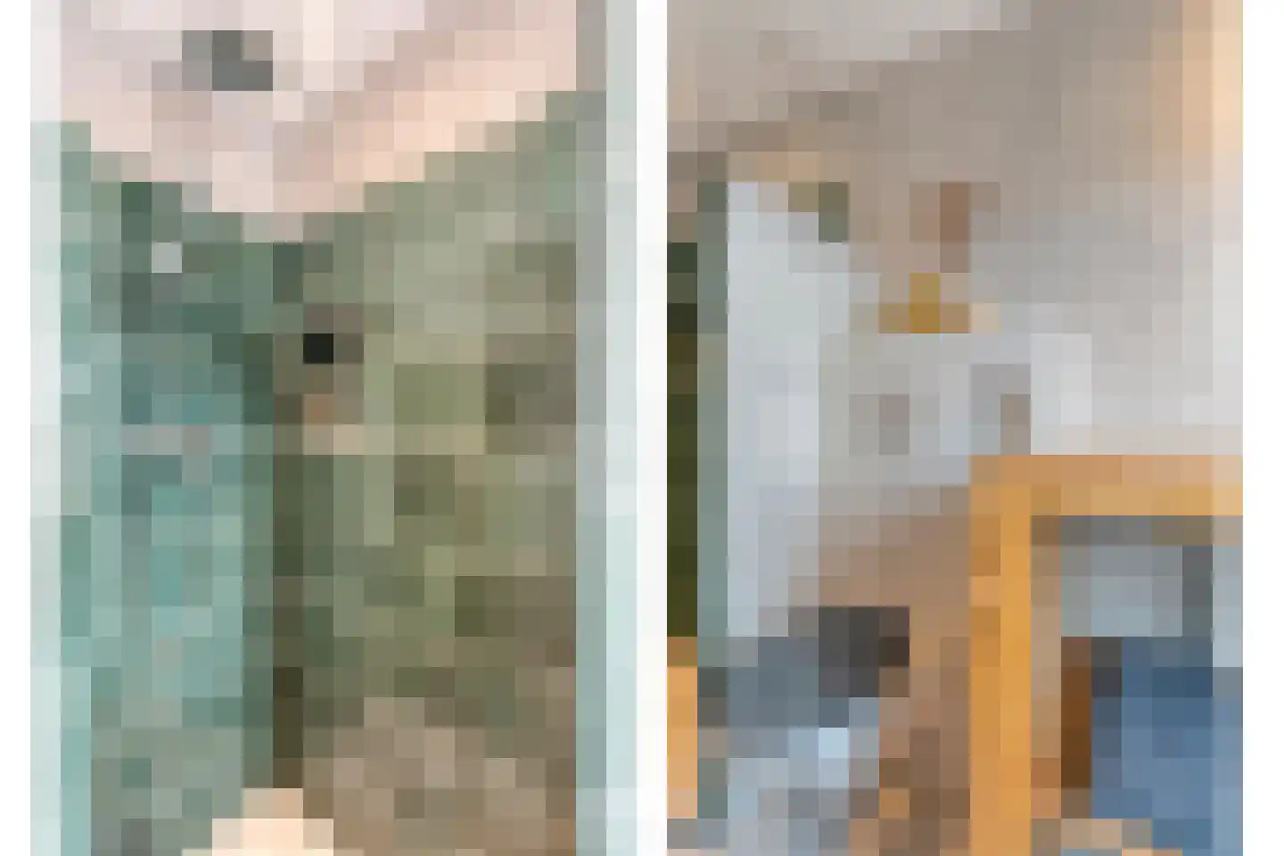 Assendorperstraat 214 Zwolle thumbnail 32
