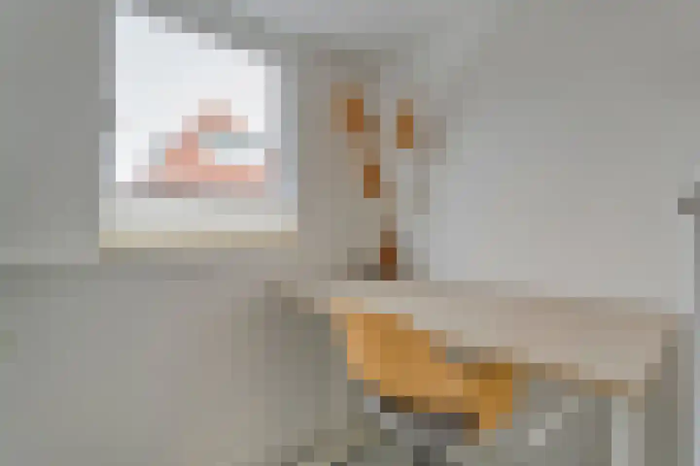 Assendorperstraat 214 Zwolle thumbnail 35