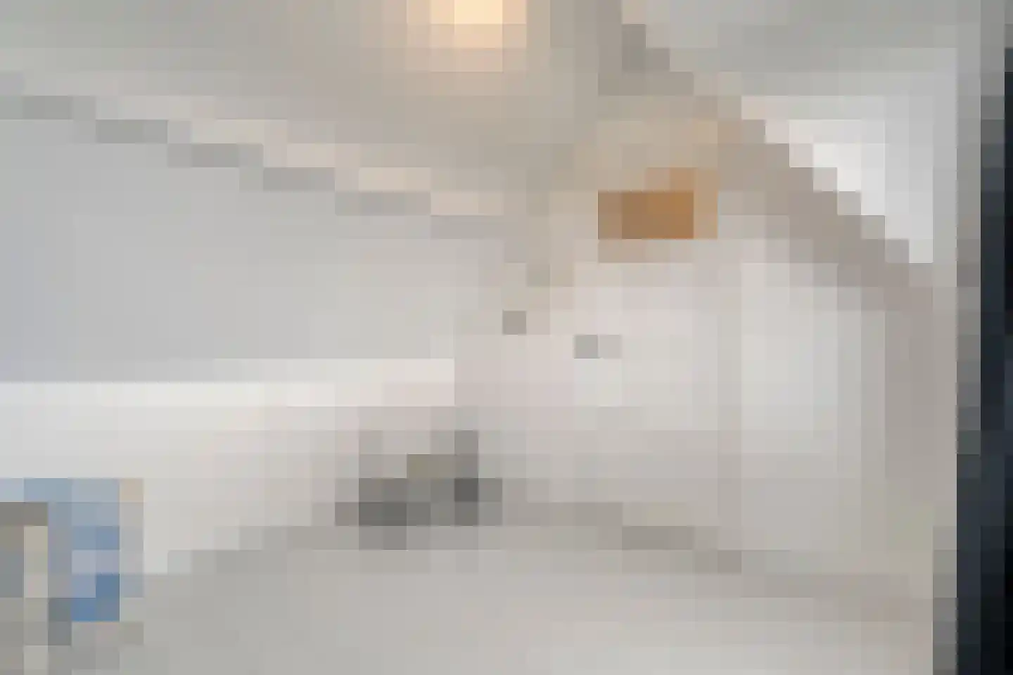Assendorperstraat 214 Zwolle thumbnail 39