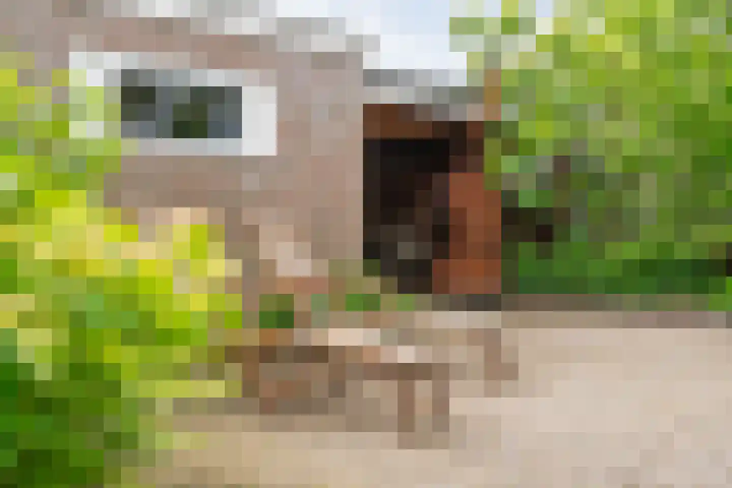 Assendorperstraat 214 Zwolle thumbnail 47