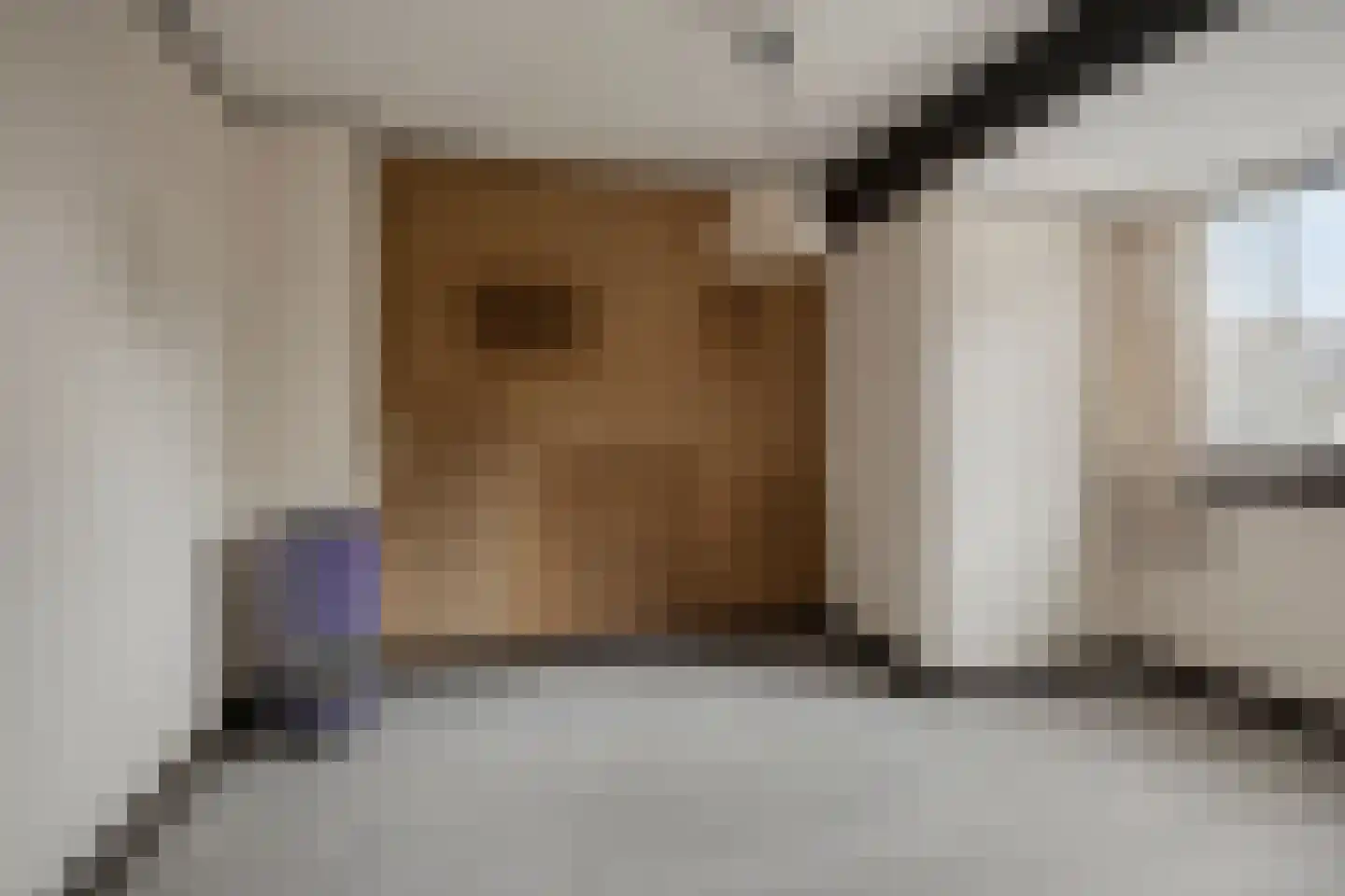 Assendorperstraat 222 Zwolle thumbnail 21