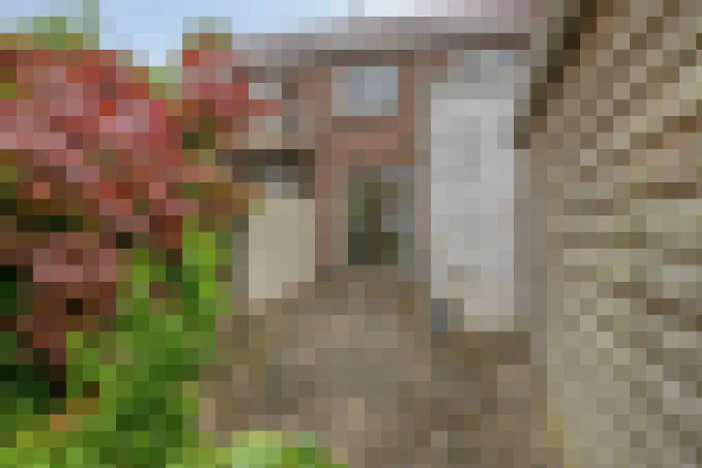 Assendorperstraat 222 Zwolle thumbnail 29