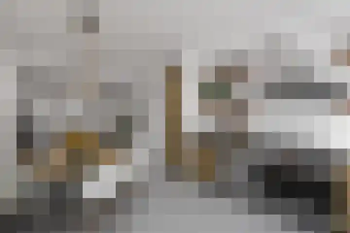 Assendorperstraat 248 C Zwolle thumbnail 4
