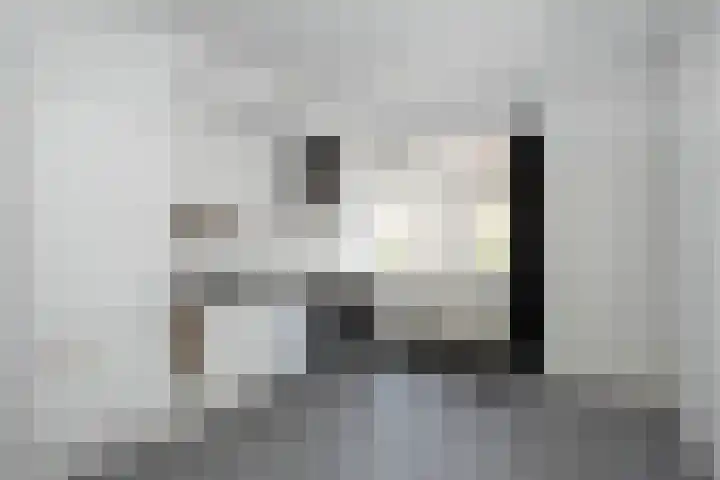 Assendorperstraat 248 C Zwolle thumbnail 6
