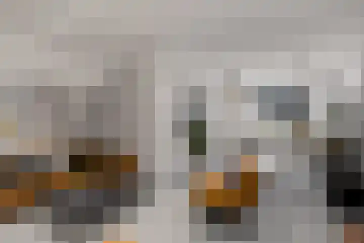 Assendorperstraat 248 C Zwolle thumbnail 9