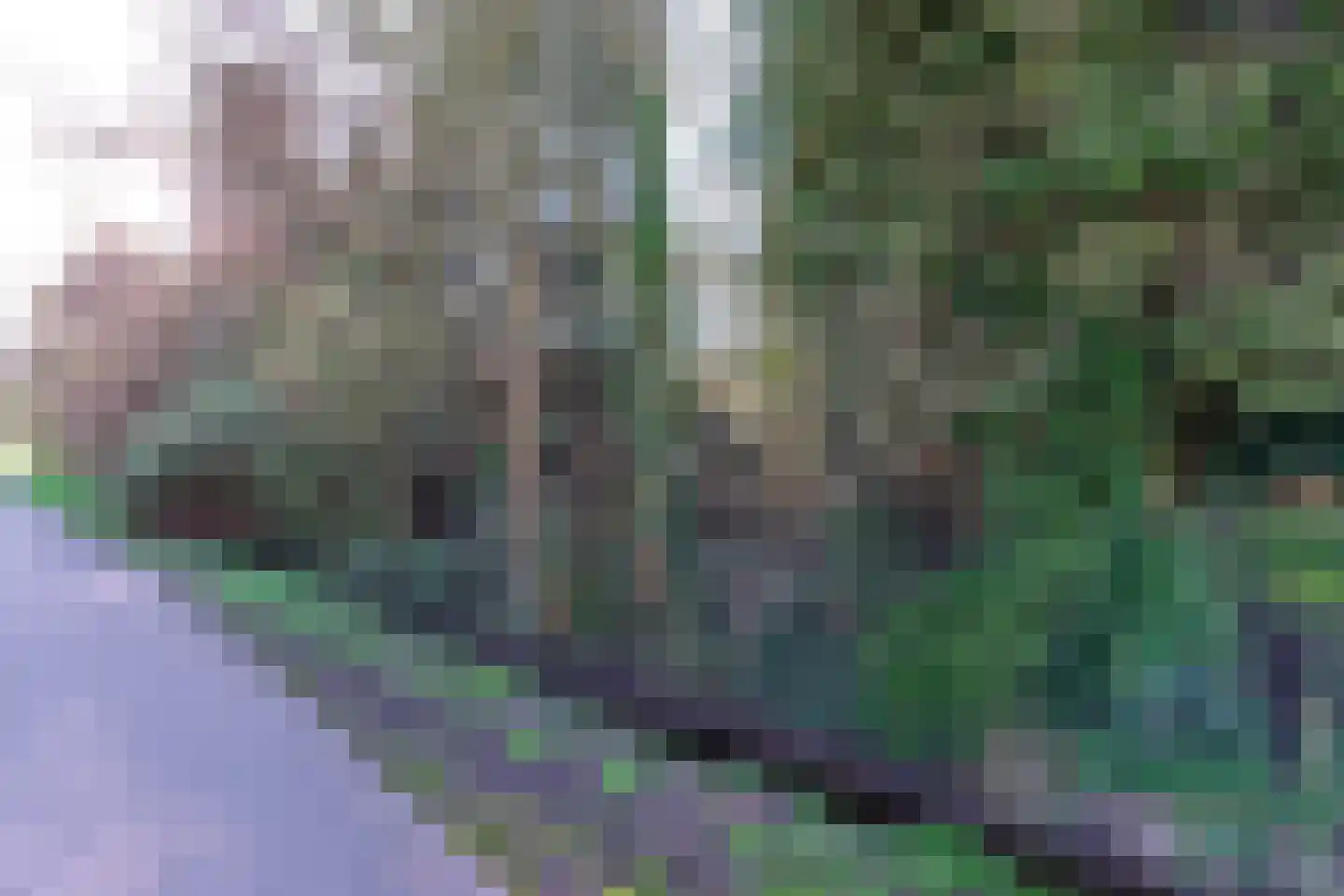 Assendorperstraat 26 Heerde thumbnail 4