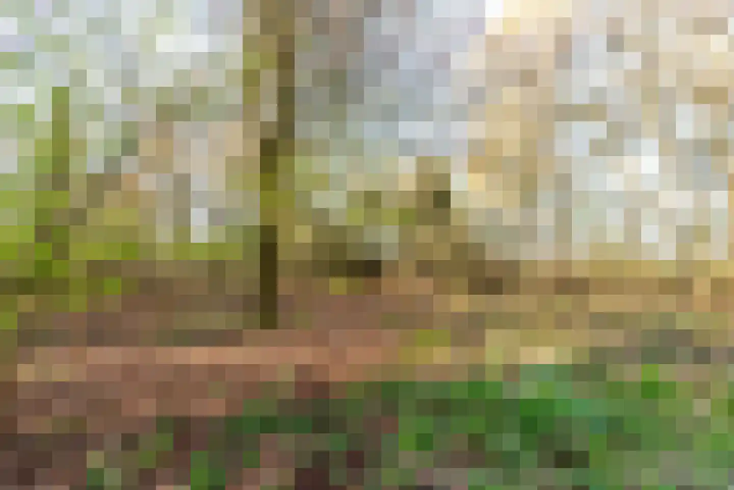 Assendorperstraat 26 Heerde thumbnail 5