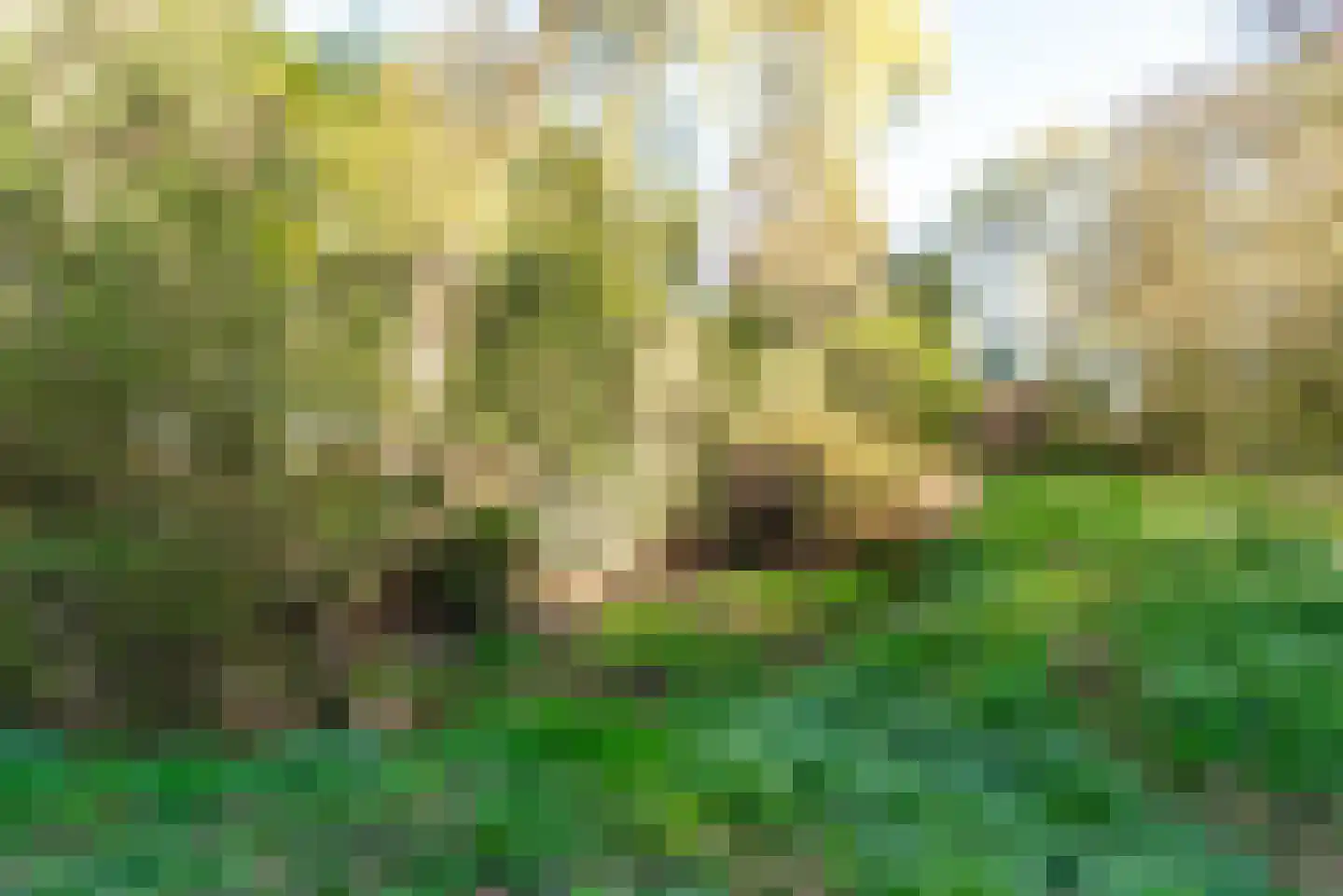 Assendorperstraat 26 Heerde thumbnail 6