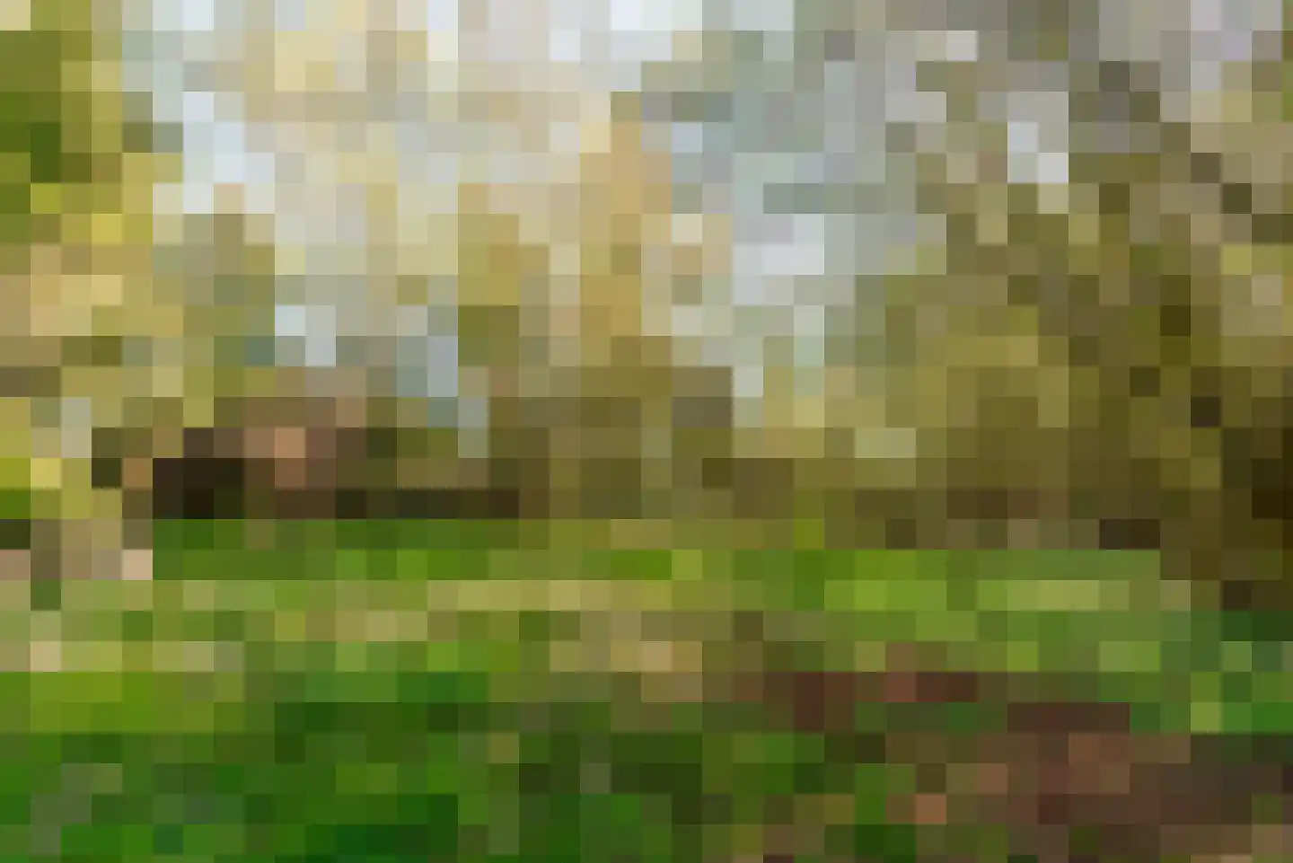 Assendorperstraat 26 Heerde thumbnail 7