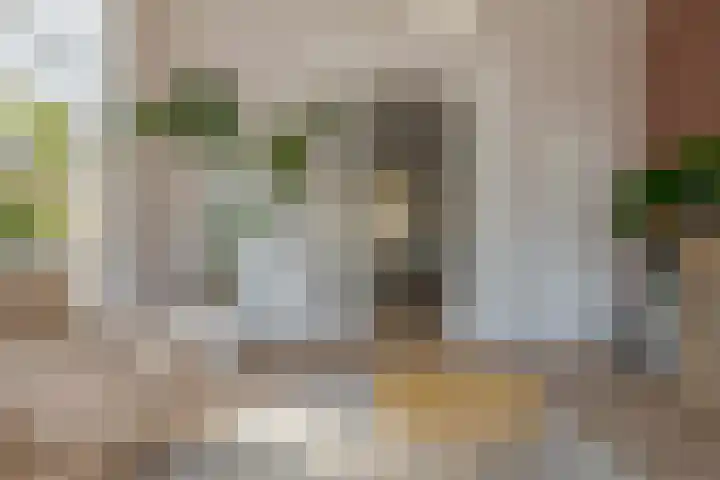Assendorperstraat 86 A Zwolle thumbnail 10