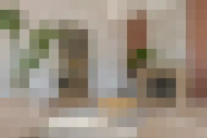 Assendorperstraat 86 A Zwolle thumbnail 12