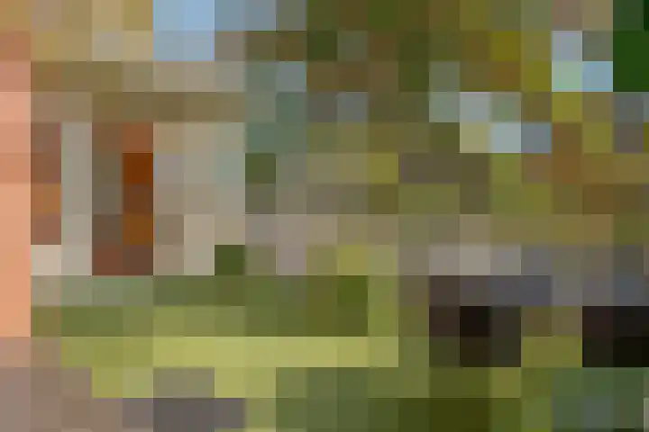 Assendorperstraat 86 A Zwolle thumbnail 33