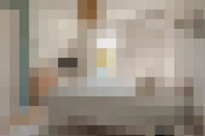 Assendorperstraat 86 A Zwolle thumbnail 42