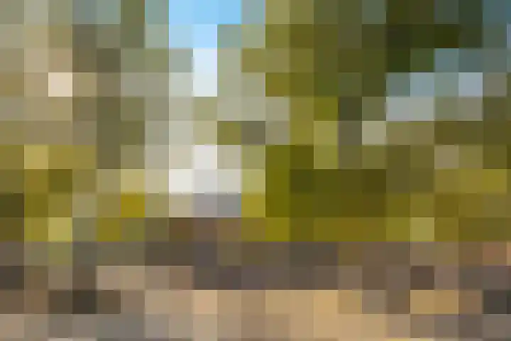 Assendorperstraat 86 A Zwolle thumbnail 60