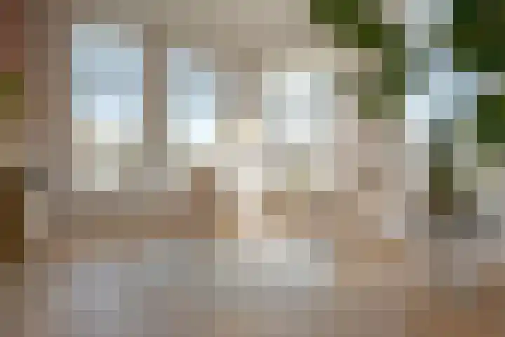 Assendorperstraat 86 A Zwolle thumbnail 8