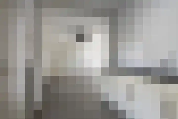 Assenstraat 2 Heerlen thumbnail 7