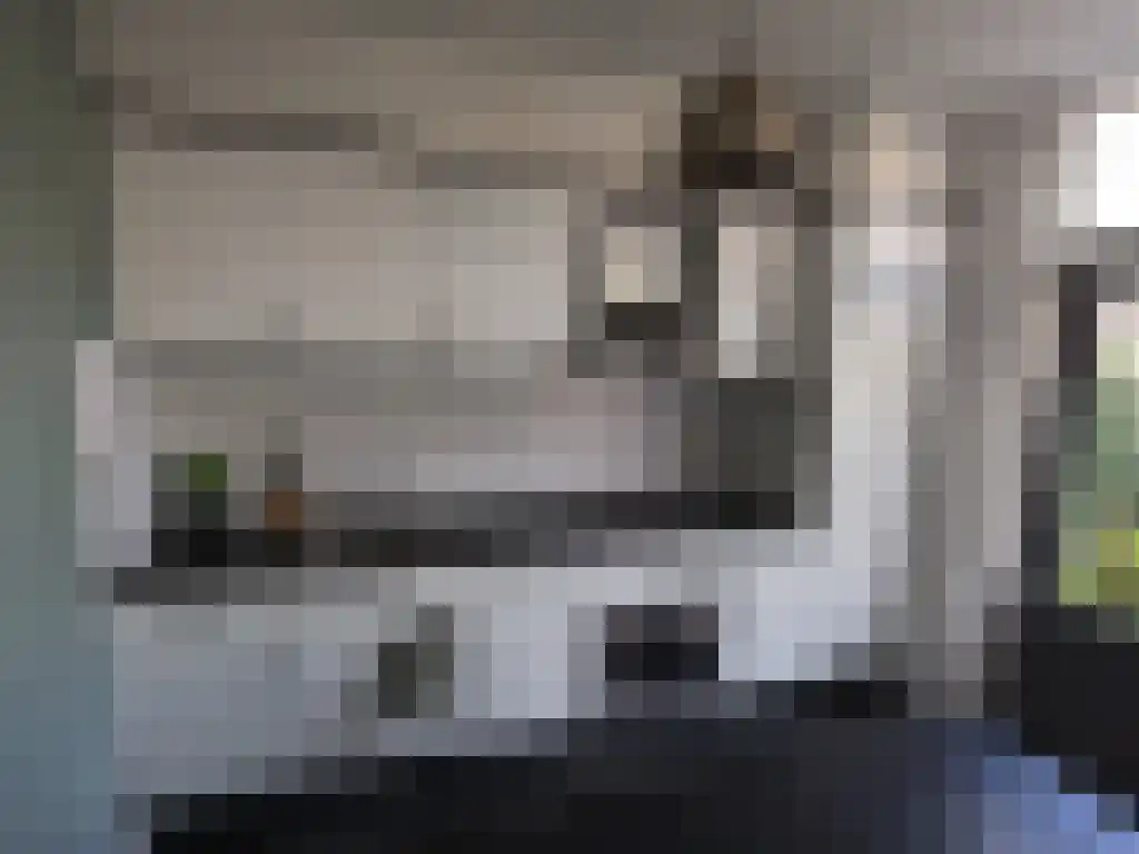 Assenstraat 28 's-Hertogenbosch thumbnail 6