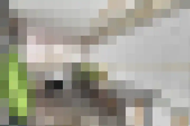 Assenstraat 3 Heerlen thumbnail 20
