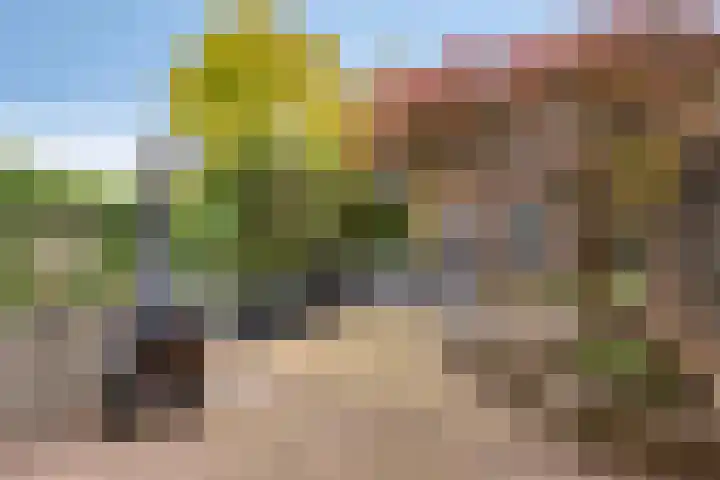 Assenstraat 3 Heerlen thumbnail 21